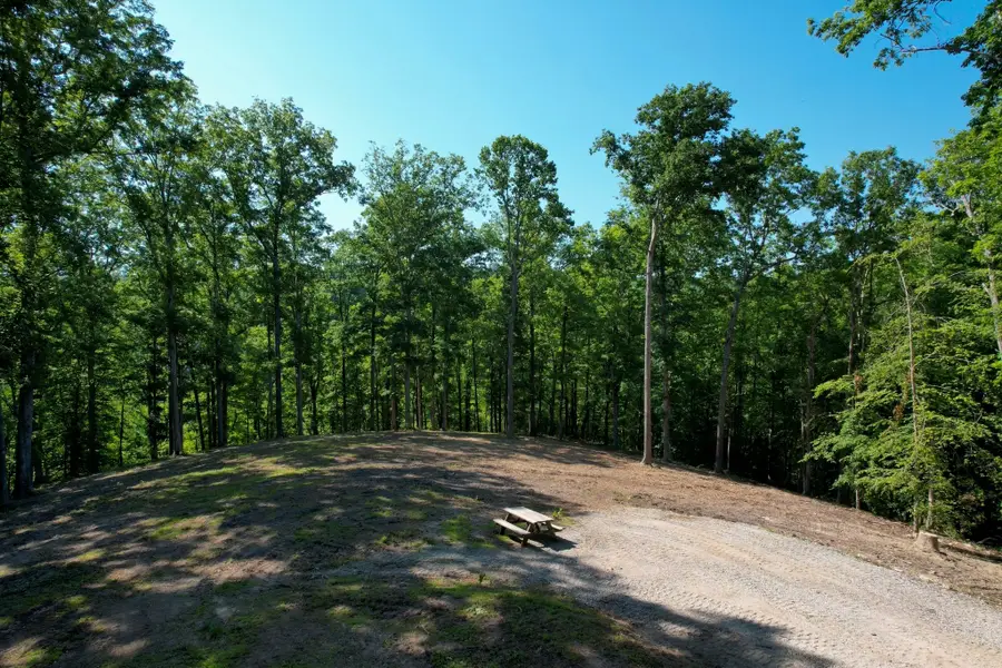 7506 Ivorybill Ln, Franklin, TN 37064 - #2