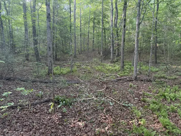 1672 Besstown Road, Beersheba Springs, TN 37305