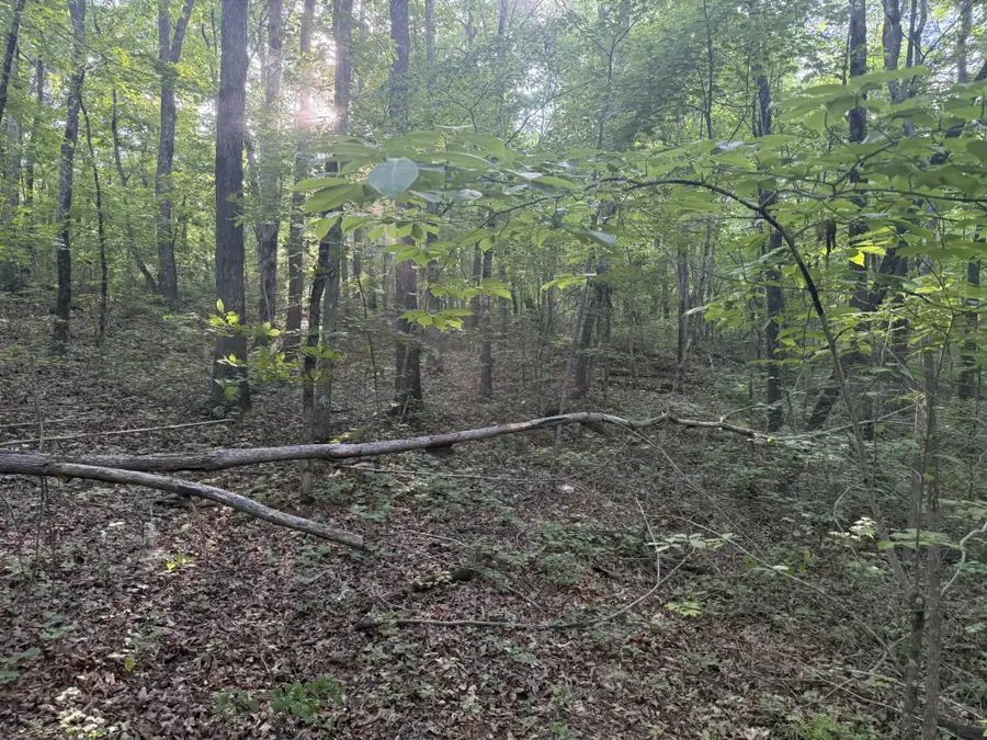 1672 Besstown Road, Beersheba Springs, TN 37305 - #2