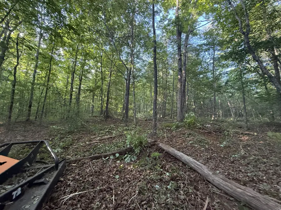 1672 Besstown Road, Beersheba Springs, TN 37305 - #3