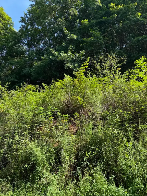 115 Hughes Hollow Road, Ten Mile, TN 37880