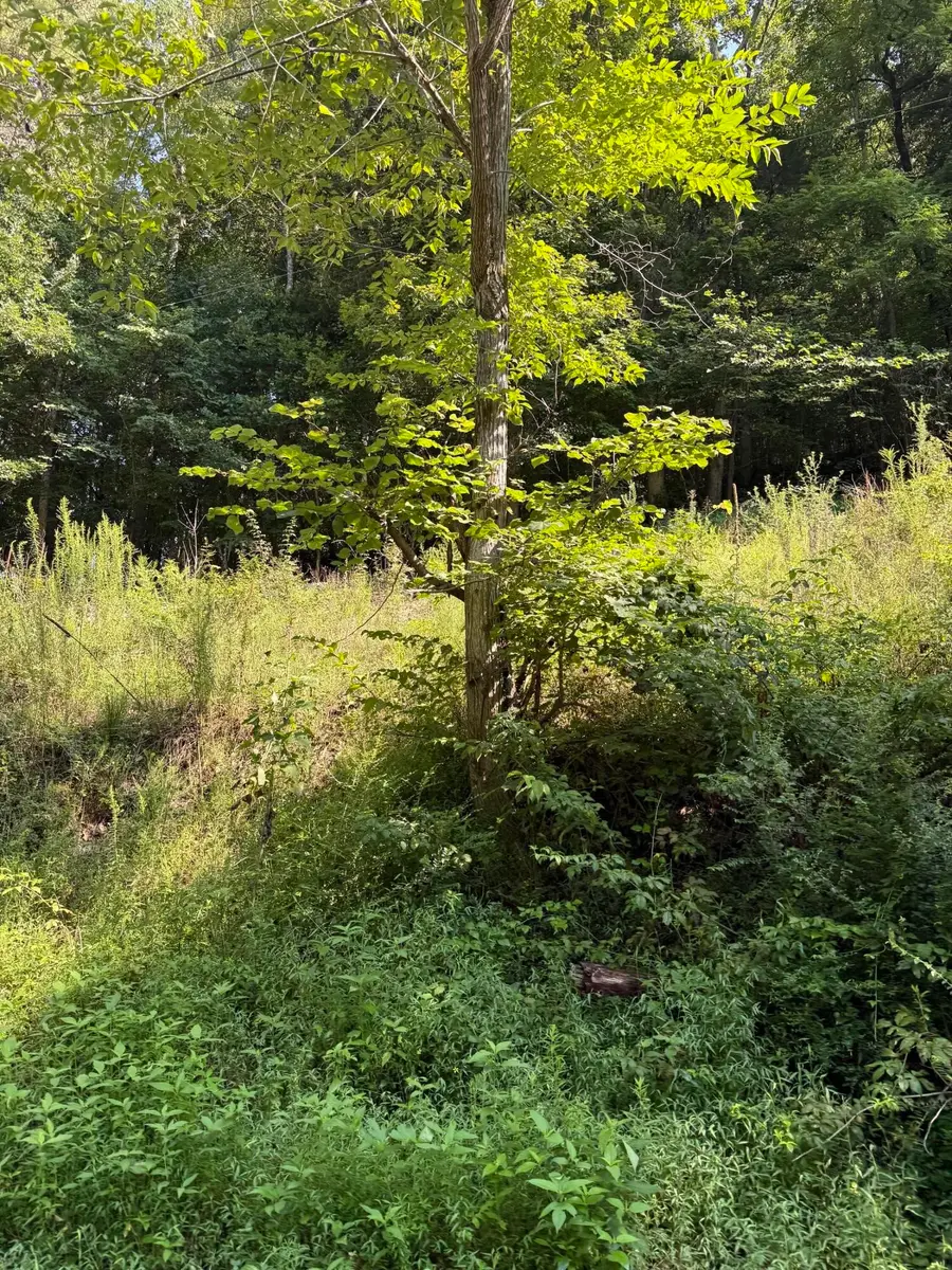 115 Hughes Hollow Road, Ten Mile, TN 37880 - #2