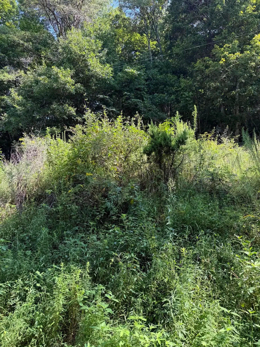 115 Hughes Hollow Road, Ten Mile, TN 37880 - #3