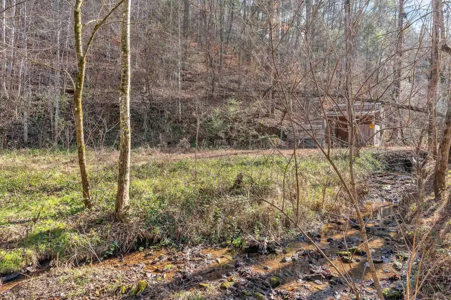 1559 Spring Creek Road, Reliance, TN 37369 - #3