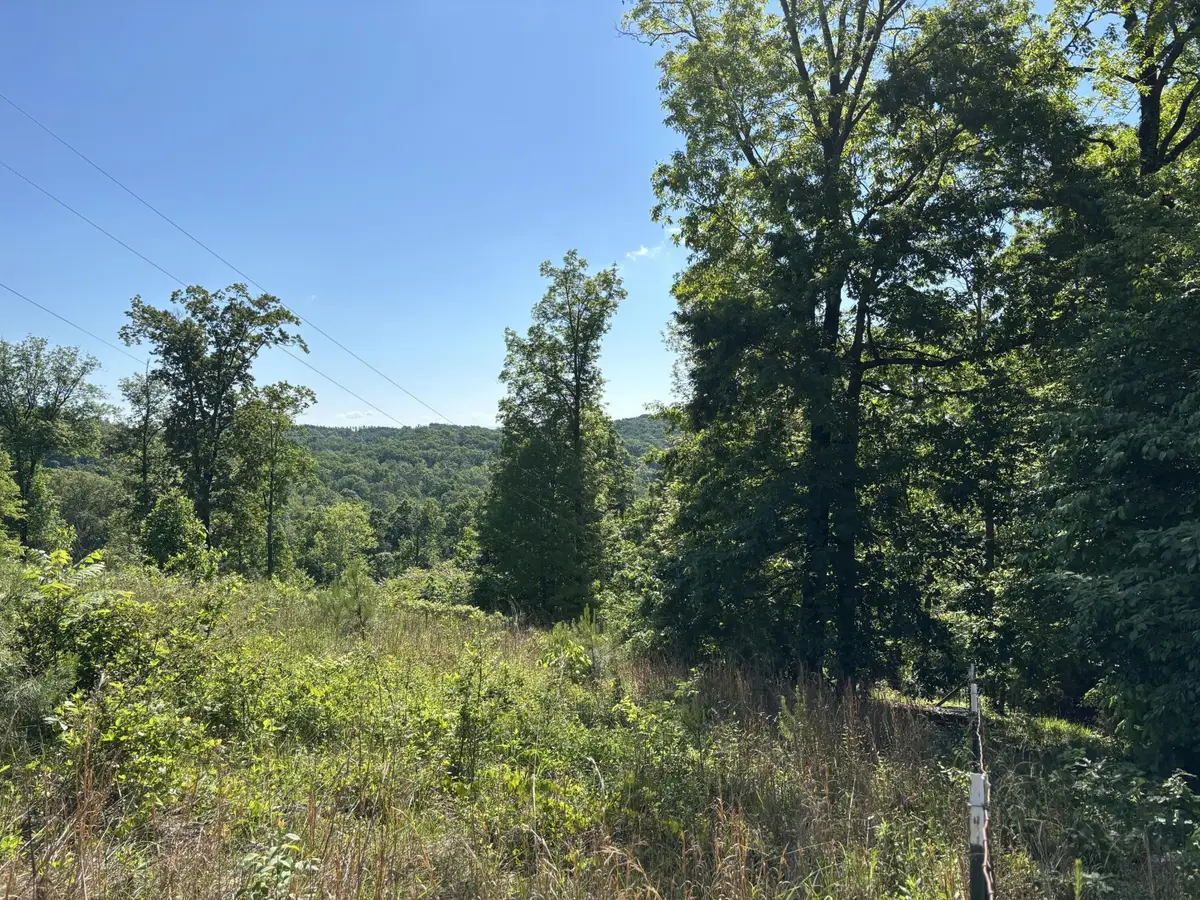 2125 Van Davis Road Nw, Georgetown, TN 37336 - #1