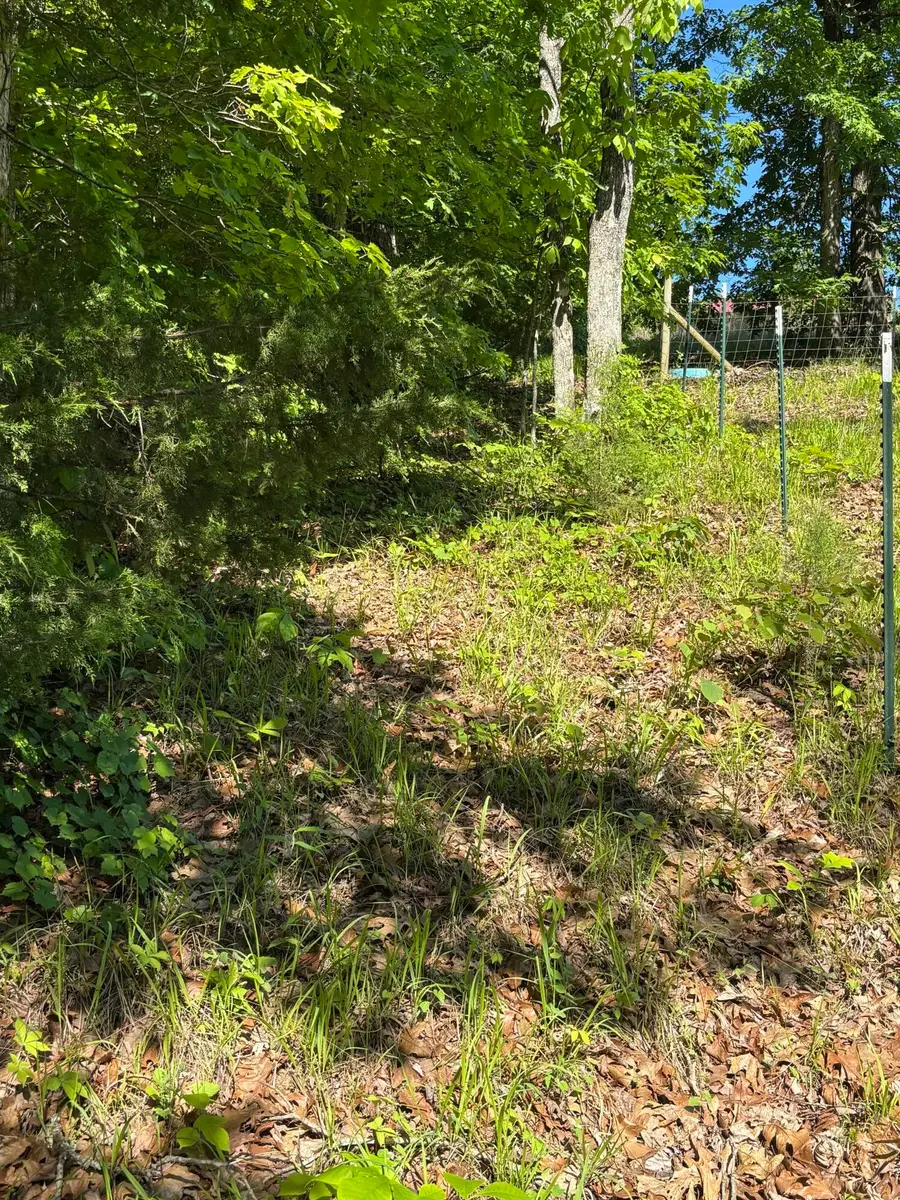 2125 Van Davis Road Nw, Georgetown, TN 37336 - #2