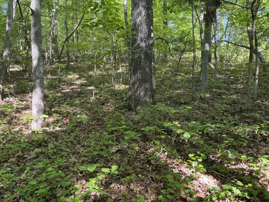 2125 Van Davis Road Nw, Georgetown, TN 37336 - #3
