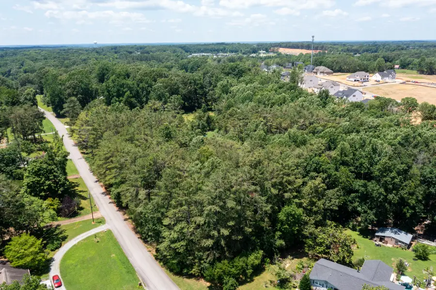 7213 Littlejohn Ln, Fairview, TN 37062 - #2