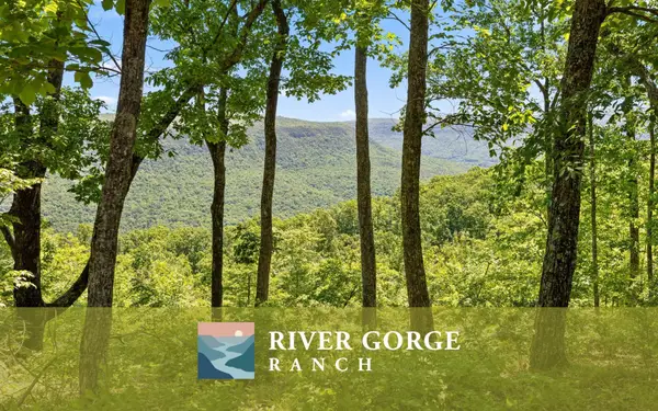 1266 Yaki Point, Guild, TN 37340
