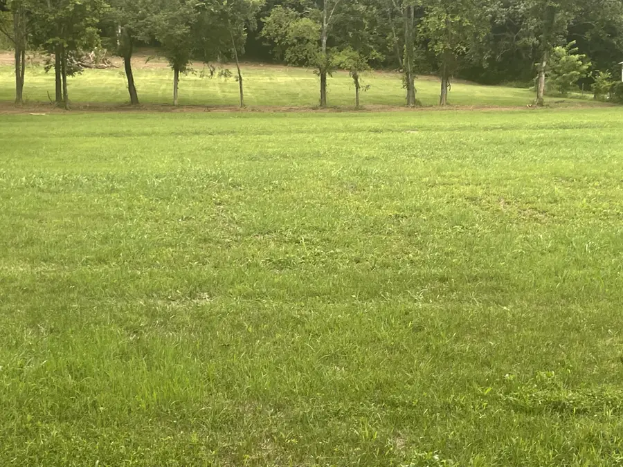 6822 Arno Allisona Rd, College Grove, TN 37046 - #2