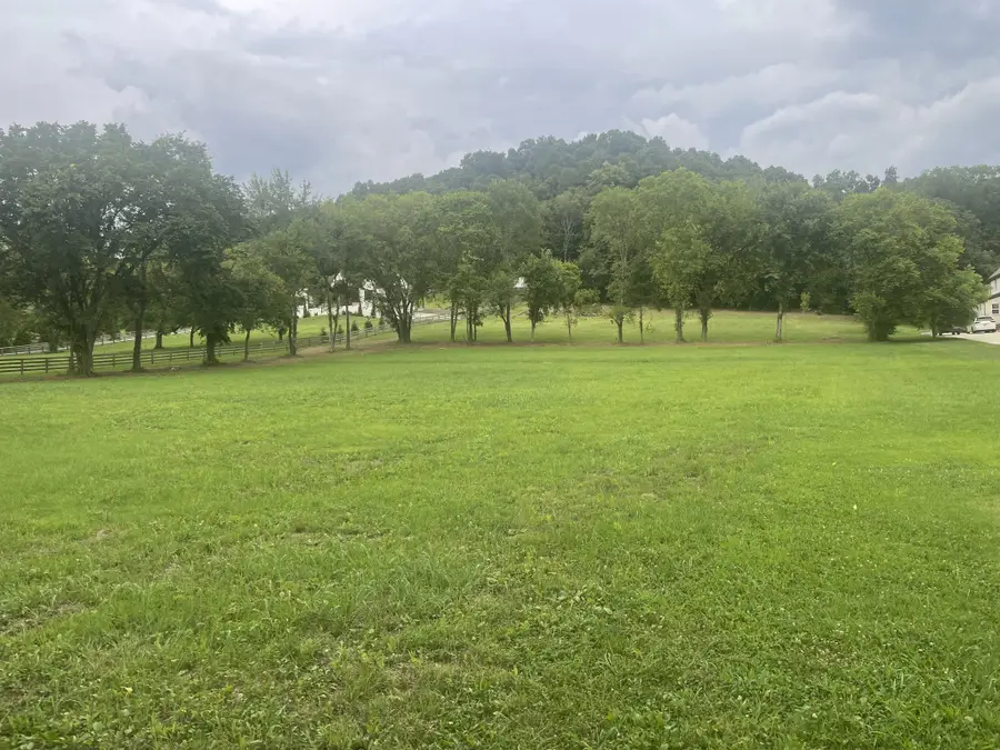 6822 Arno Allisona Rd, College Grove, TN 37046 - #3