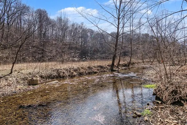 0 Ribbon Branch Road, Dover, TN 37058