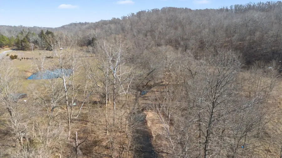 0 Ribbon Branch Road, Dover, TN 37058 - #2