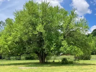 12 Glasgow Branch Rd, Hartsville, TN 37074 - #3
