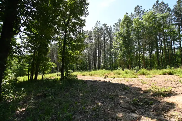 0 Bear Creek Rd, Waverly, TN 37185