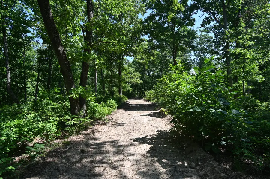 0 Bear Creek Rd, Waverly, TN 37185 - #2