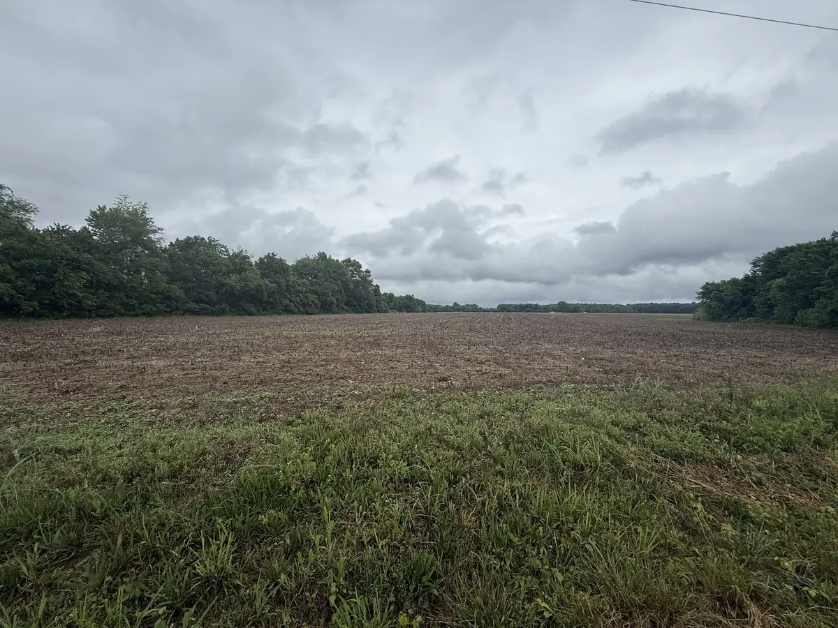 0 Pendergrass Rd, Flintville, TN 37335 - #1