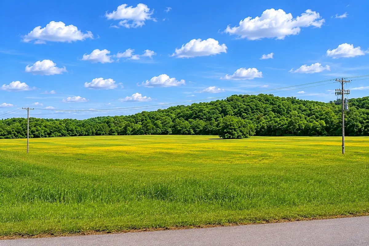 0 Lawrenceburg Hwy, Mount Pleasant, TN 38474 - #1