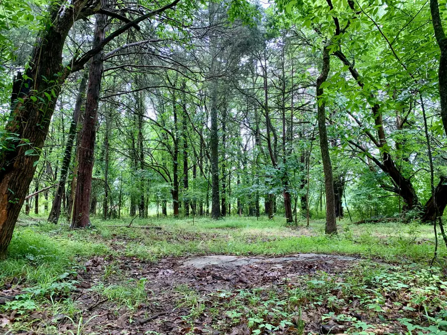 1 Rucker Road, Christiana, TN 37037 - #2