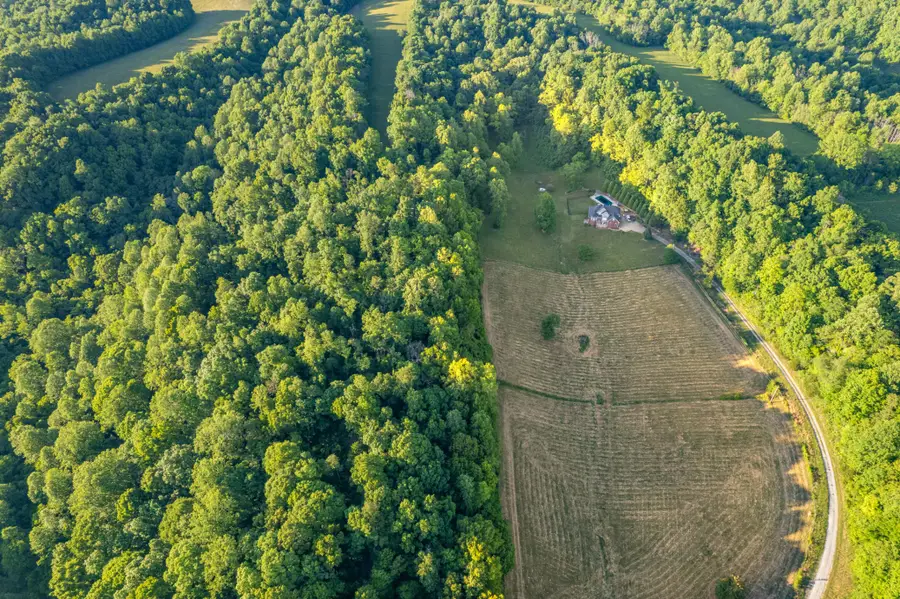 6A Young Rd, Pulaski, TN 38478 - #3