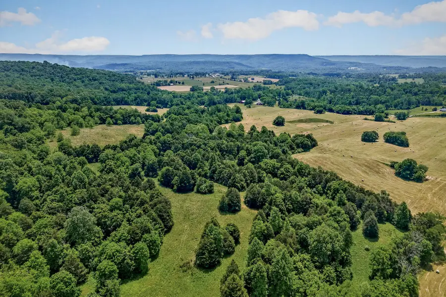 1372 Plum Creek Rd, Sparta, TN 38583 - #3