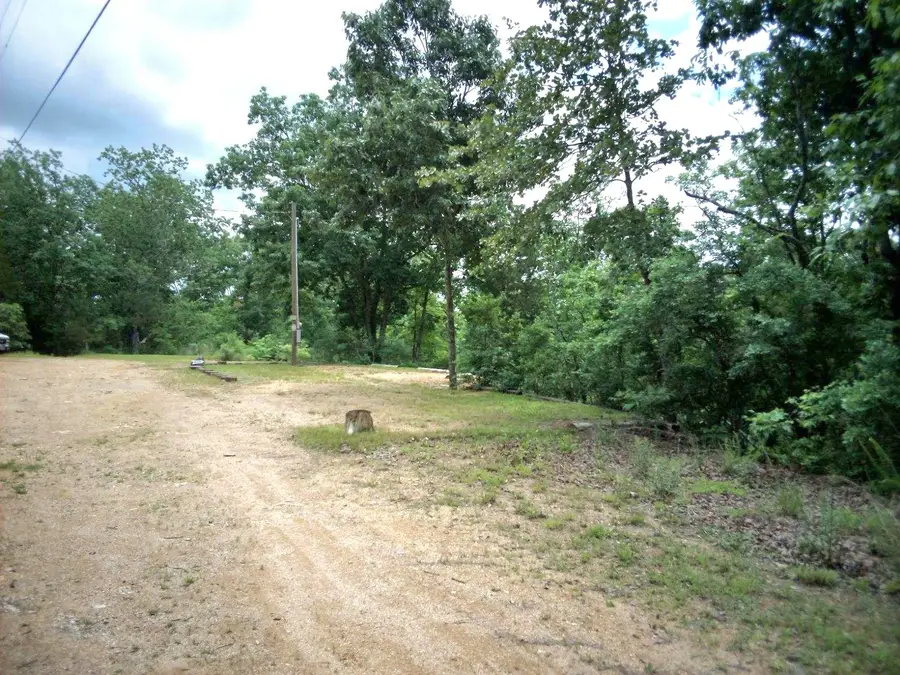 0 Martin, Holladay, TN 38341 - #2