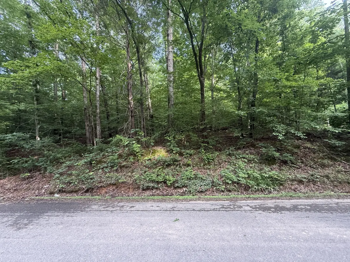 0 Caney Branch Rd, Stewart, TN 37175 - #1