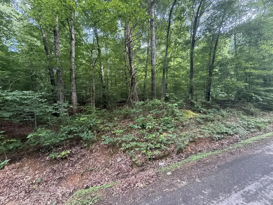 0 Caney Branch Rd, Stewart, TN 37175 - #2