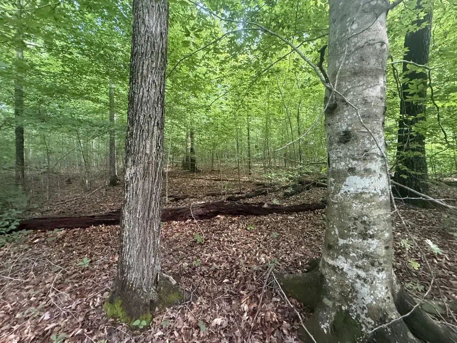 0 Caney Branch Rd, Stewart, TN 37175 - #3