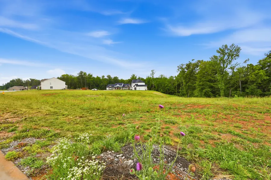 705 Sandringham Ct, Clarksville, TN 37043 - #3