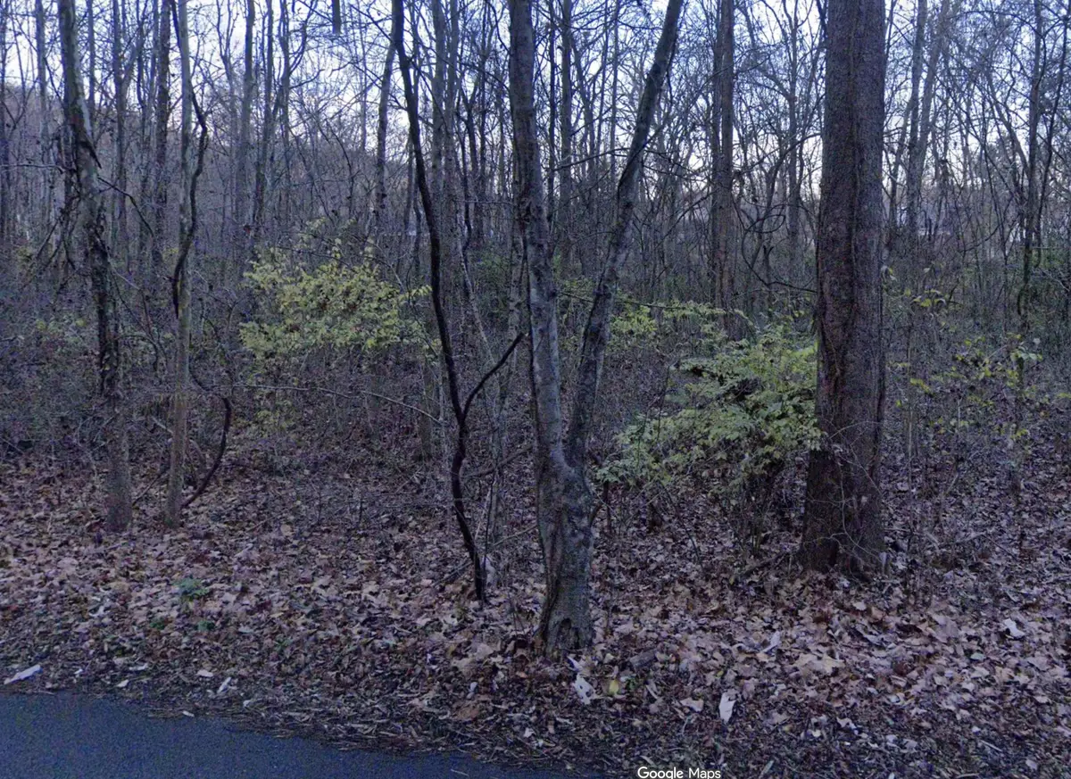 3978 Dry Fork Rd, Whites Creek, TN 37189 - #1