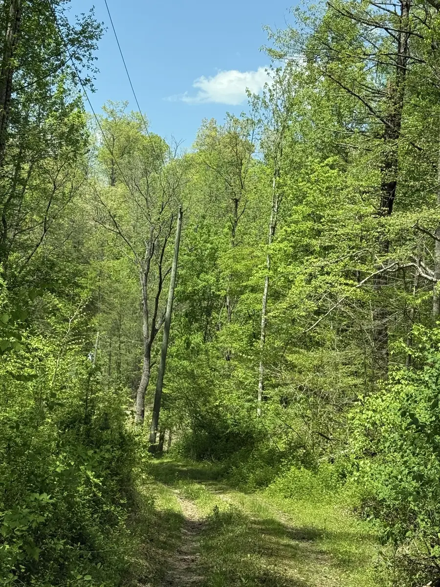 2110 Duck Pond Ln, Sevierville, TN 37876 - #3