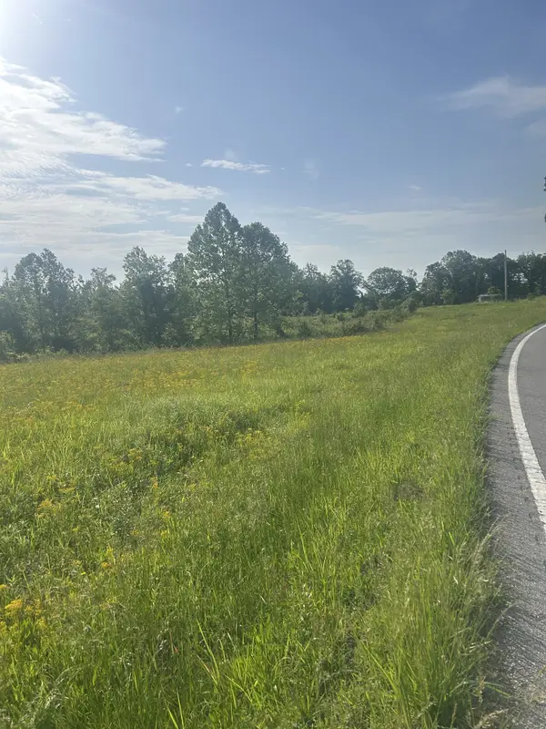 2047 Buffalo Rd, Hohenwald, TN 38462