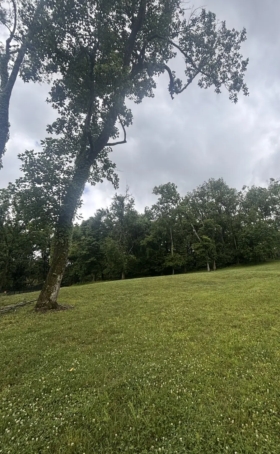269 Rock Cress Road, Nolensville, TN 37135 - #3