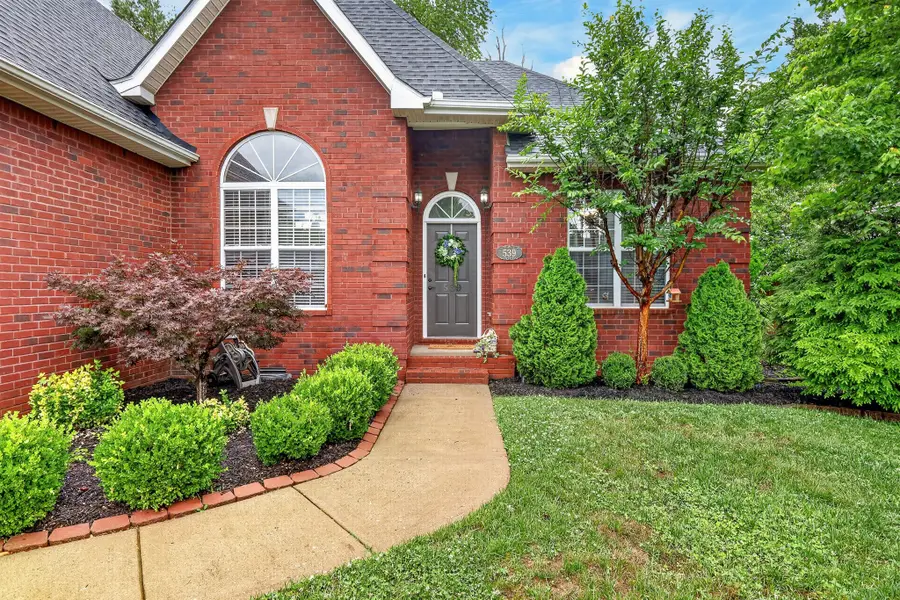 539 Forrest Pointe Dr, Murfreesboro, TN 37130 - #3