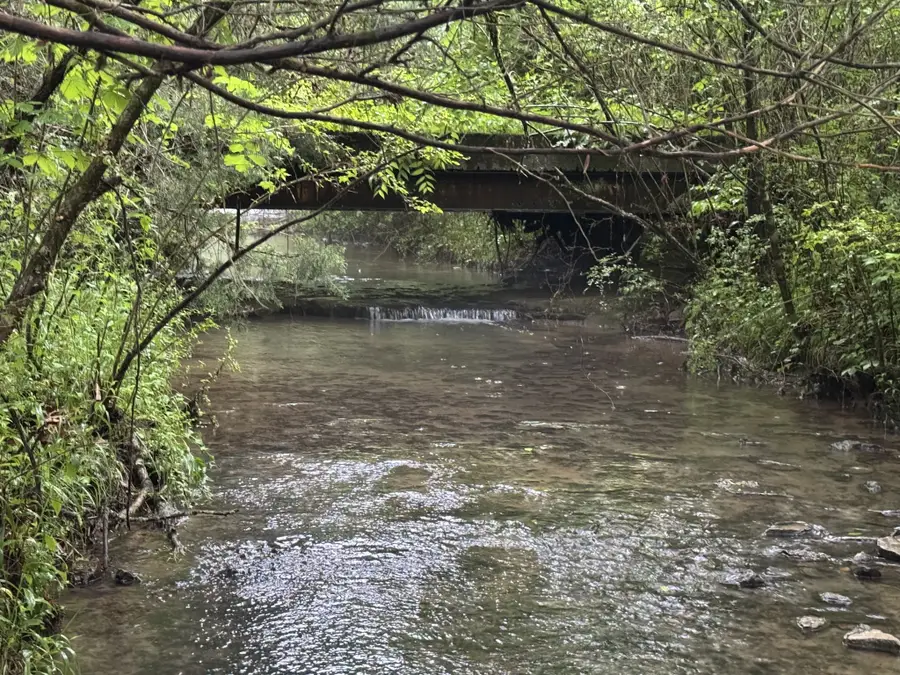 197 Blue Smith Rd, Cornersville, TN 37047 - #2