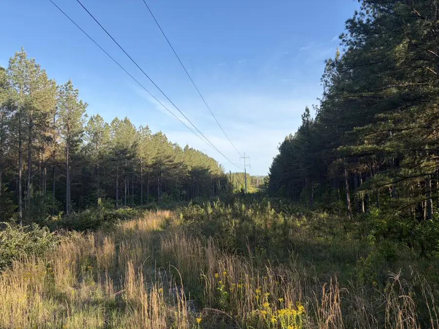 0 Black Bear Lane, Sunbright, TN 37872 - #3