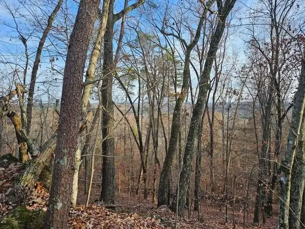 25 Countryside Drive, Evensville, TN 37332