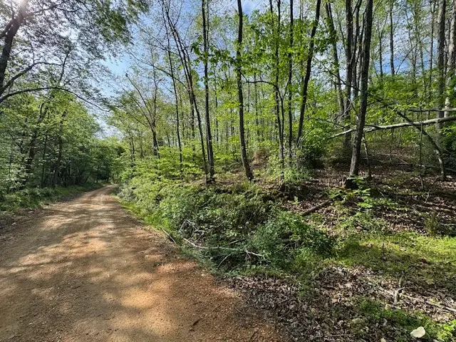 455 Moss Spring Hollow Road, Centerville, TN 37033 - #1