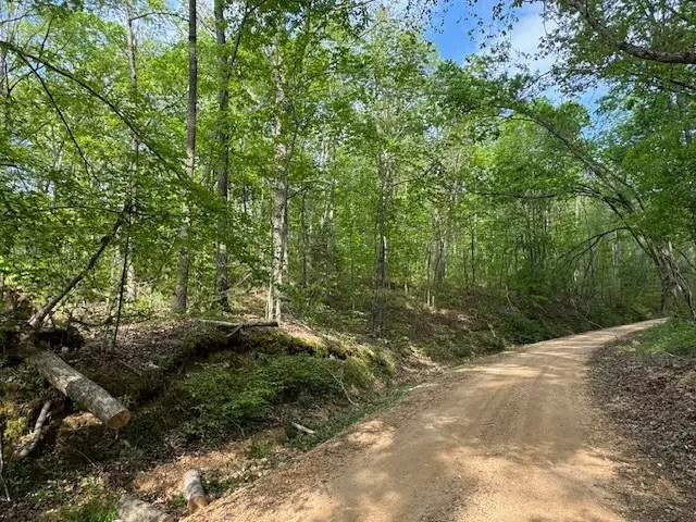 455 Moss Spring Hollow Road, Centerville, TN 37033 - #2
