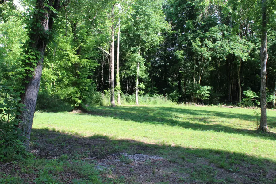 9681 Hwy 147, Stewart, TN 37175 - #3
