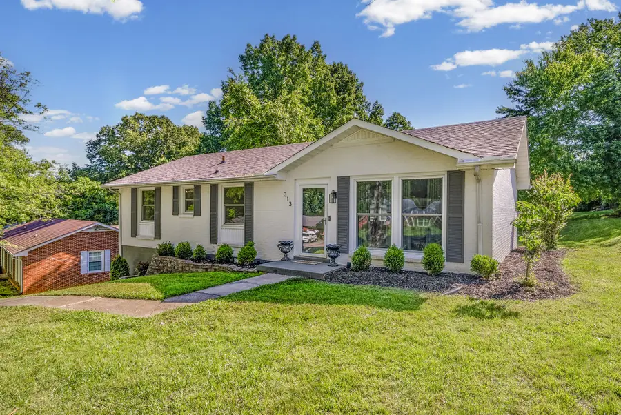 313 Hilldale Ln, Clarksville, TN 37043 - #2