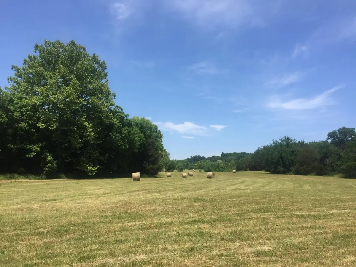 8285 Haley Rd, College Grove, TN 37046 - #1