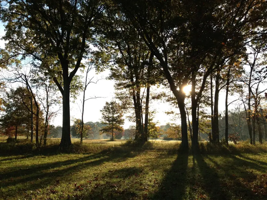 8285 Haley Rd, College Grove, TN 37046 - #3