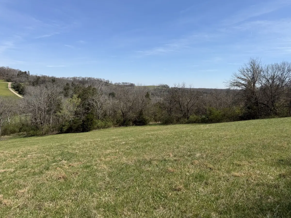 12 Fly Rd, Santa Fe, TN 38482 - #1
