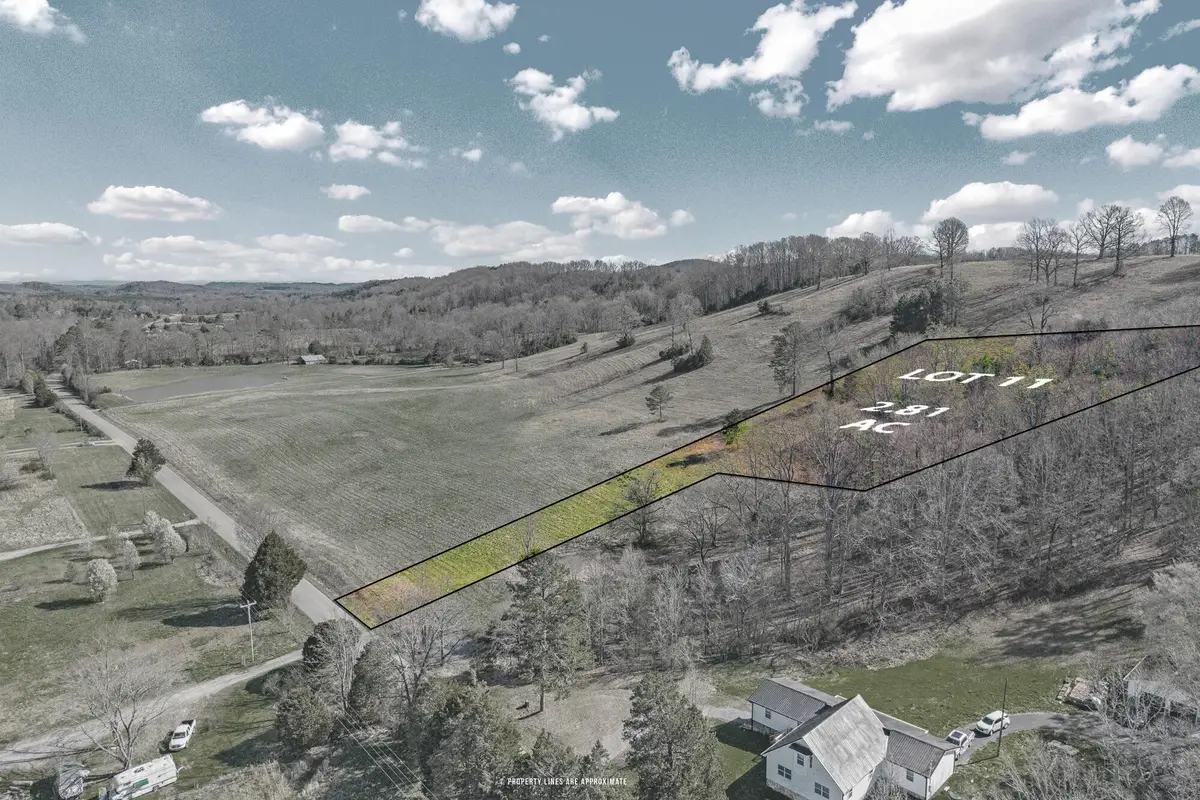 11 N Nopone Valley Rd, Decatur, TN 37322 - #1