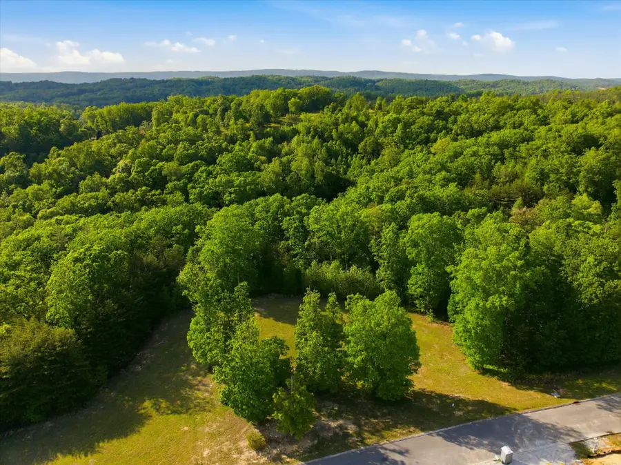 240 River Run Trail, Spring City, TN 37381 - #2