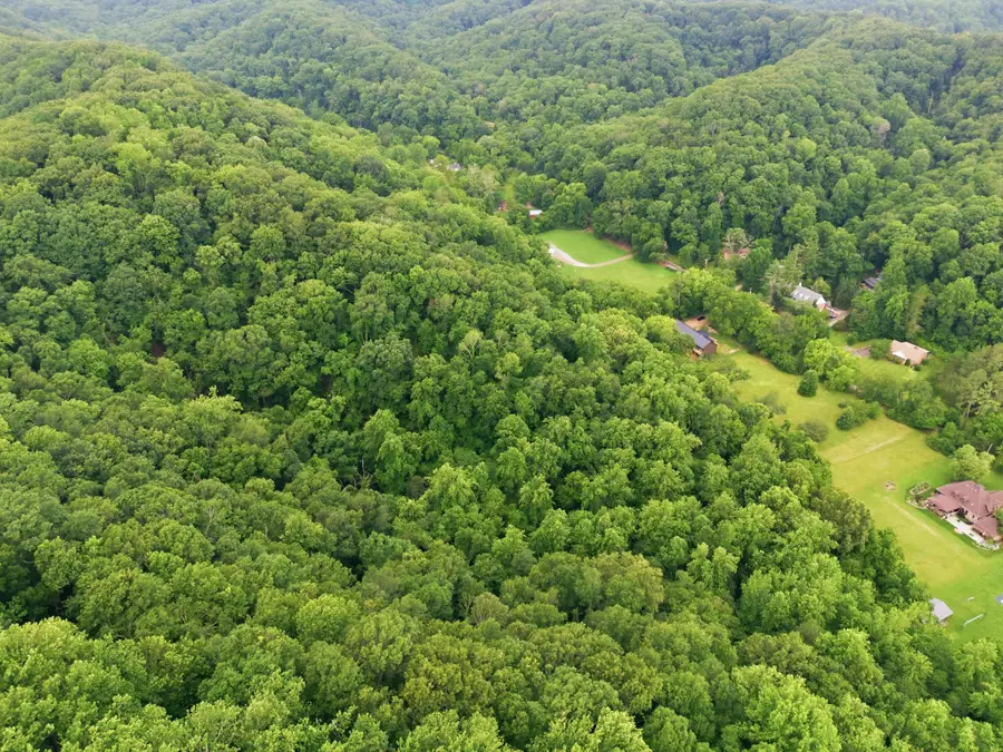 5034 Seymour Hollow Rd, Whites Creek, TN 37189 - #3