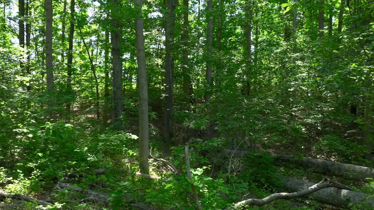 0 Oak Hill, Lyles, TN 37098 - #1
