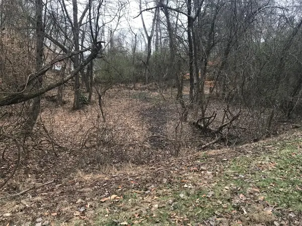 50 Cherokee Circle, Ten Mile, TN 37880